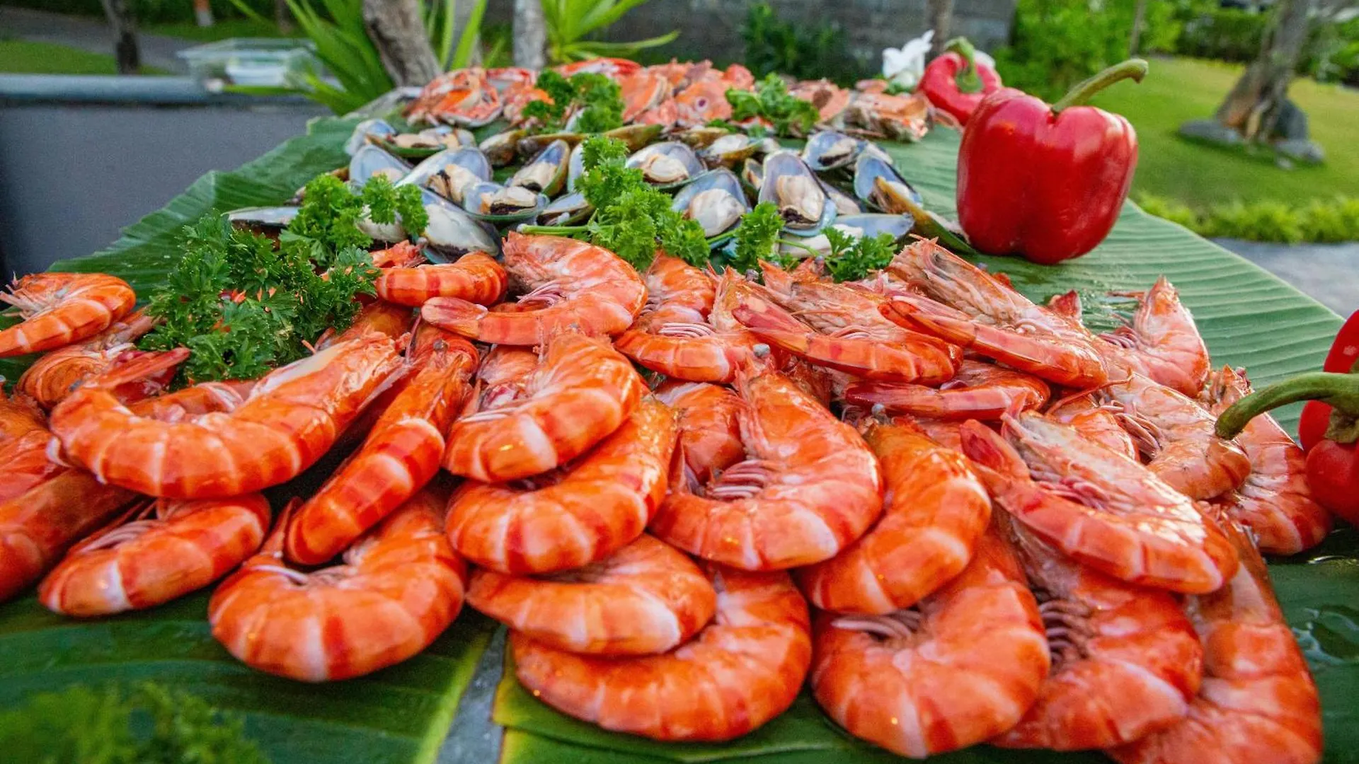 Melia Danang Beach Resort Da Nang